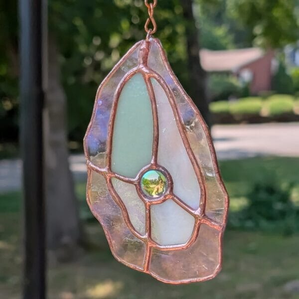 Mother of Pearl Oyster (Large)